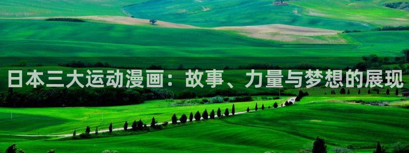 2025年里番动漫