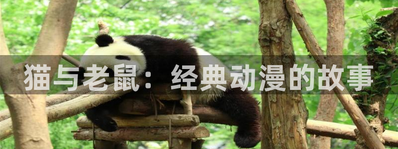 里番动漫影