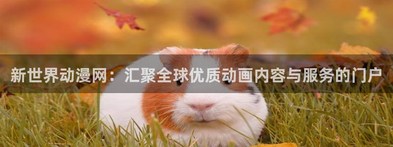 里番动漫排行榜