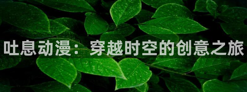 里番动漫在线视频观看