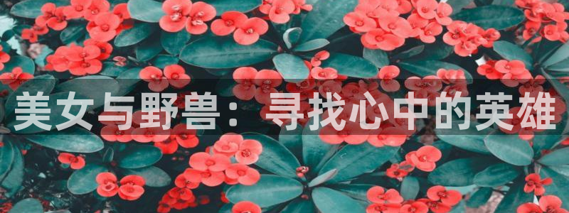 海贼王里番漫画