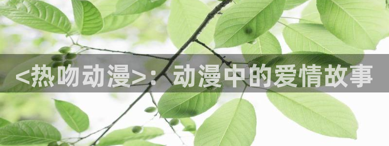 火影里番动漫