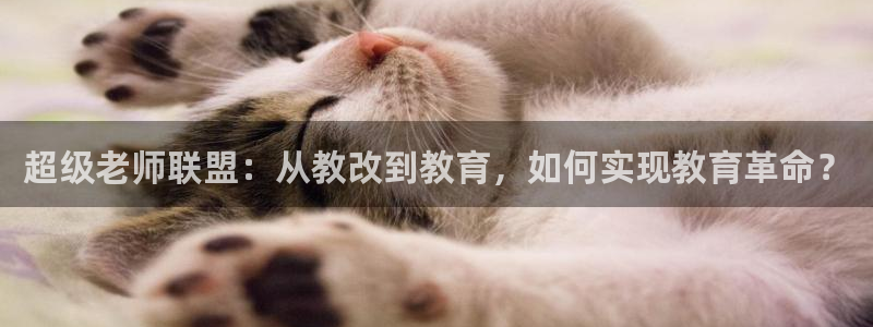 里番动漫下载