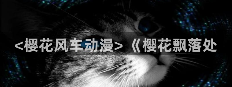 里番 动漫在线观看
