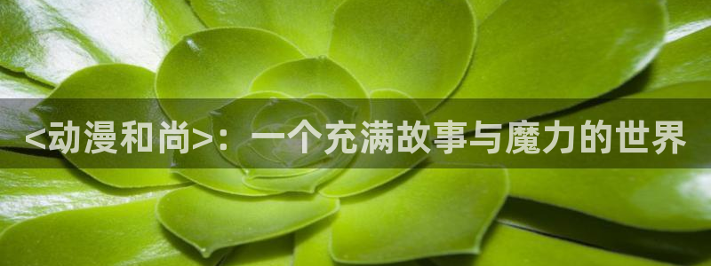动漫网里番