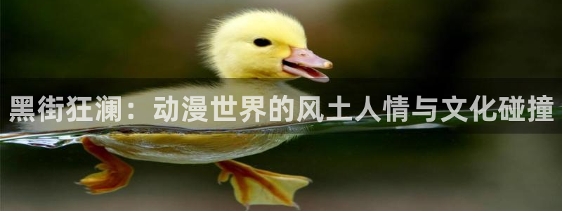 动漫里番本子库