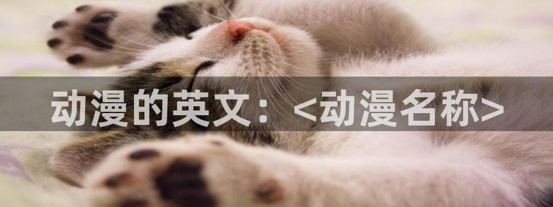里番动漫免费在线