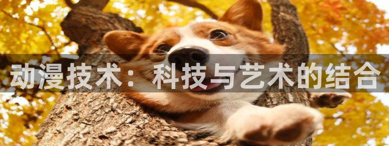里番动画app