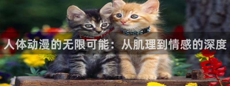 动画片里番