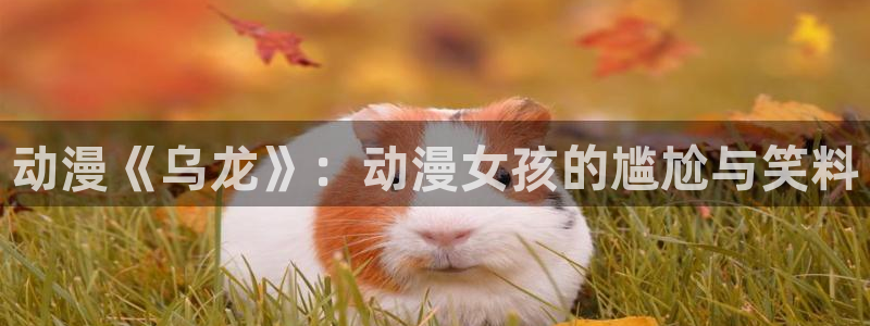 ova里番动画