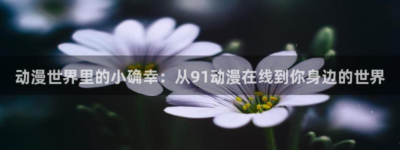 工口动漫里番