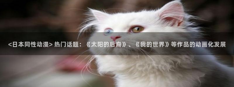 动漫里番在线播放