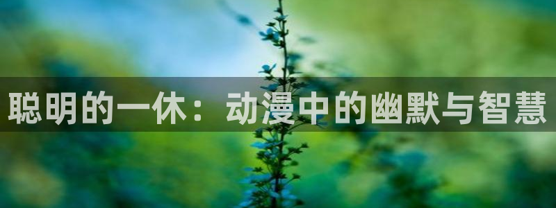 在线观看动漫里番