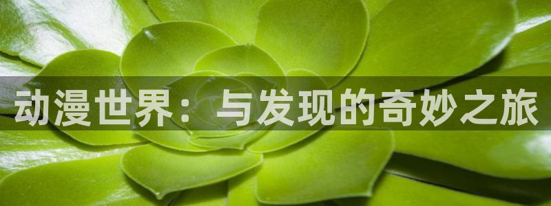 里番动漫岛