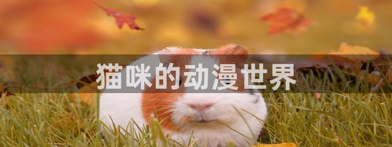 里番动漫高清在线观看：猫咪的动漫世界