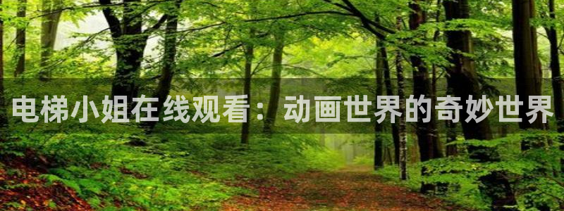 最新里番动漫：电梯小姐在线观看：动画世界的奇妙世界