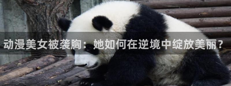 动漫里番漫画：动漫美女被袭胸：她如何在逆境中绽放美丽？