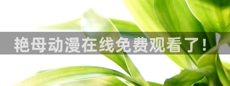樱花里番动漫：艳母动漫在线免费观看了！